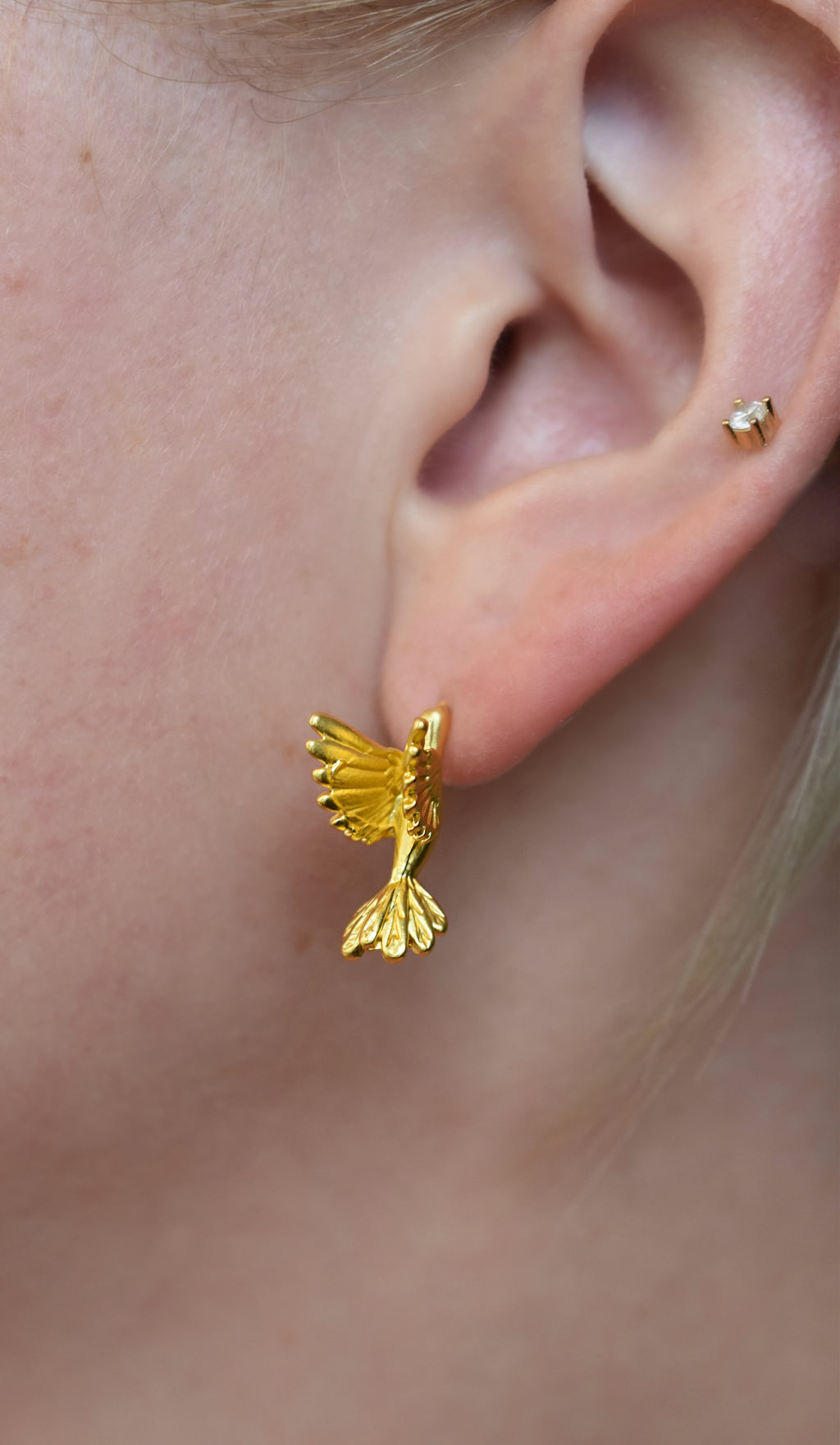 The Flying Golden Birds - Studs