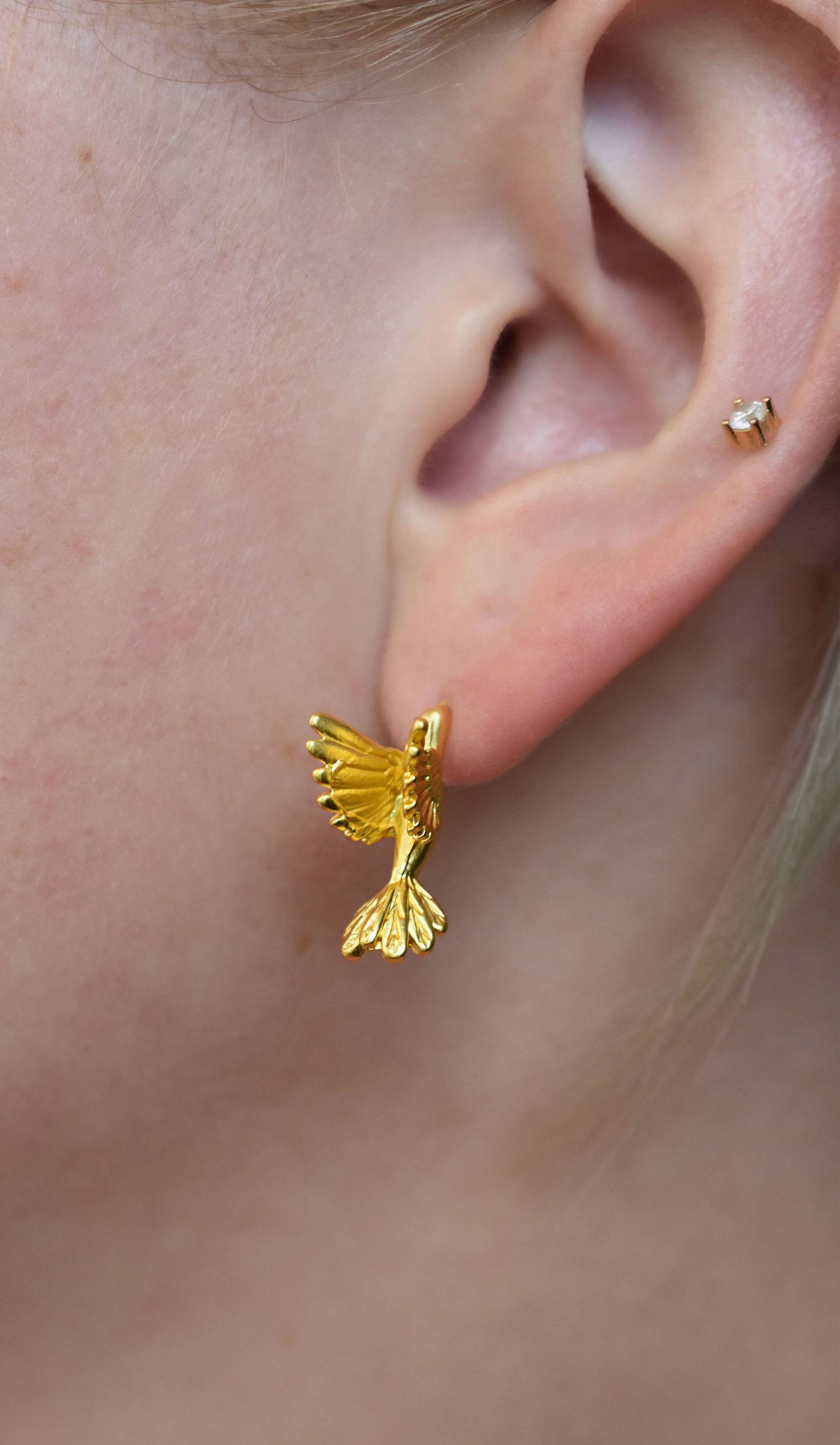 The Flying Golden Birds - Studs